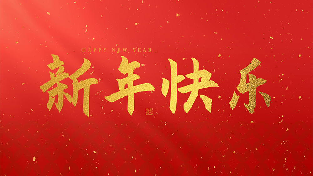 麗水市威儀自動化技術有限公司祝全國人民2025新年快樂！